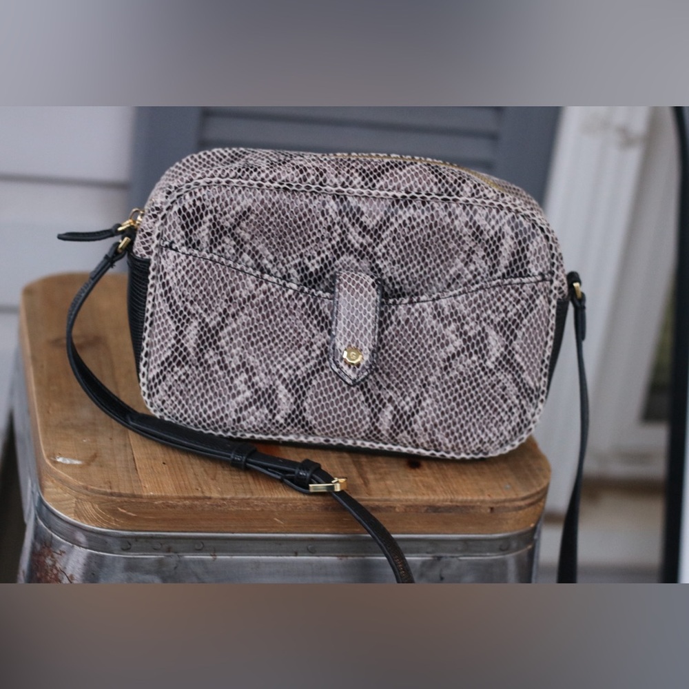 GILT Chic Snake Print Crossbody Bag